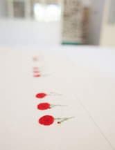 Room La grenadine guesthouse Cape Town